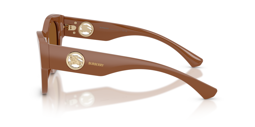BE4491 - 422273 sunglasses - view 7