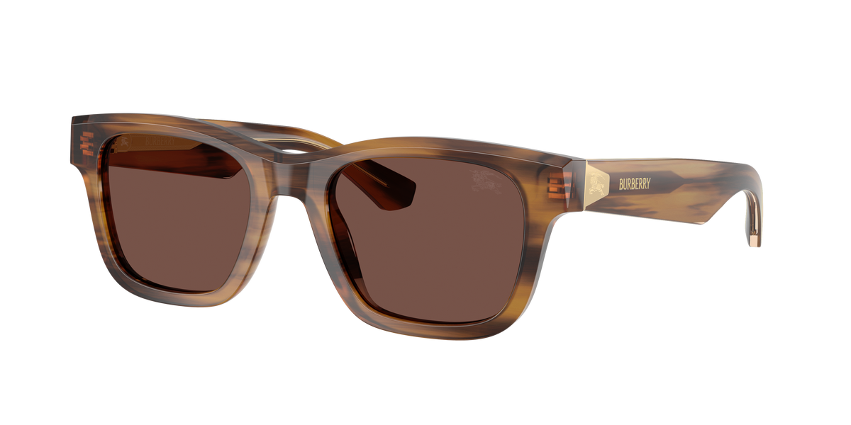 BE4504 - 425373 sunglasses - view 3