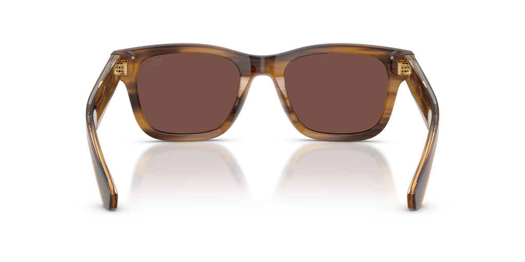 BE4504 - 425373 sunglasses - view 4