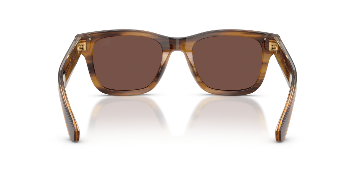 BE4504 - 425373 sunglasses - view 4