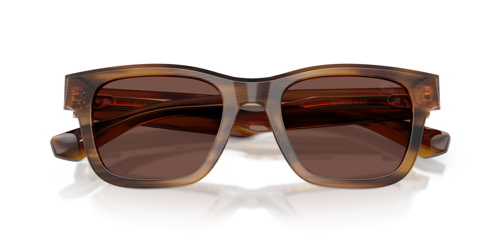 BE4504 - 425373 sunglasses - view 5