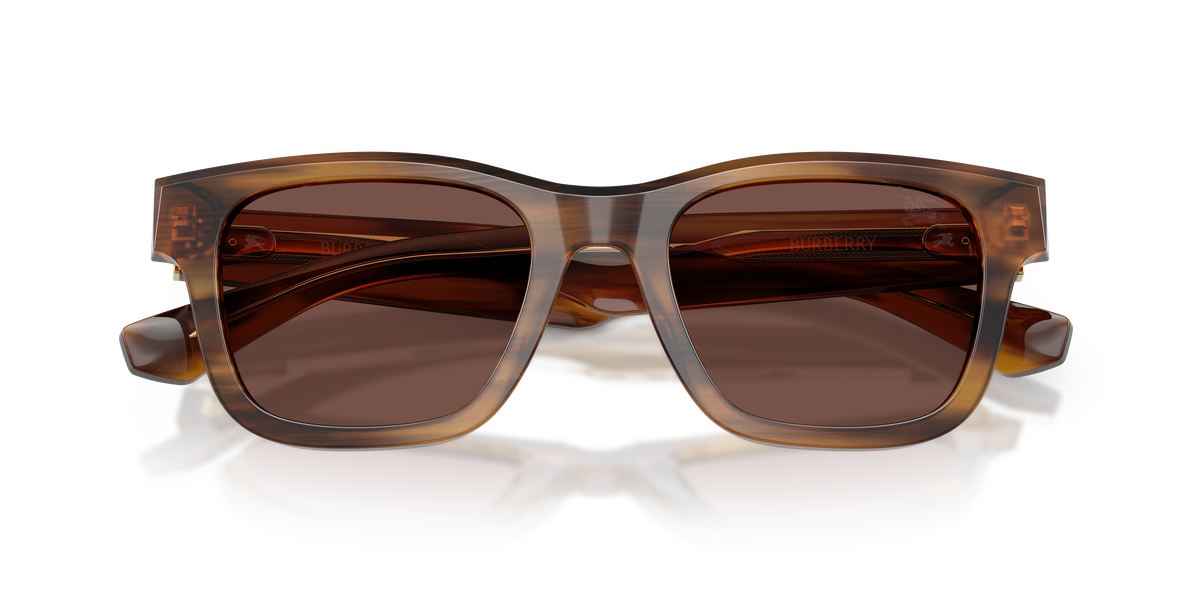 BE4504 - 425373 sunglasses - view 5