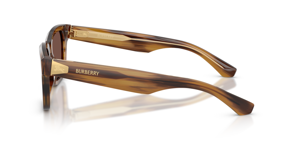 BE4504 - 425373 sunglasses - view 7