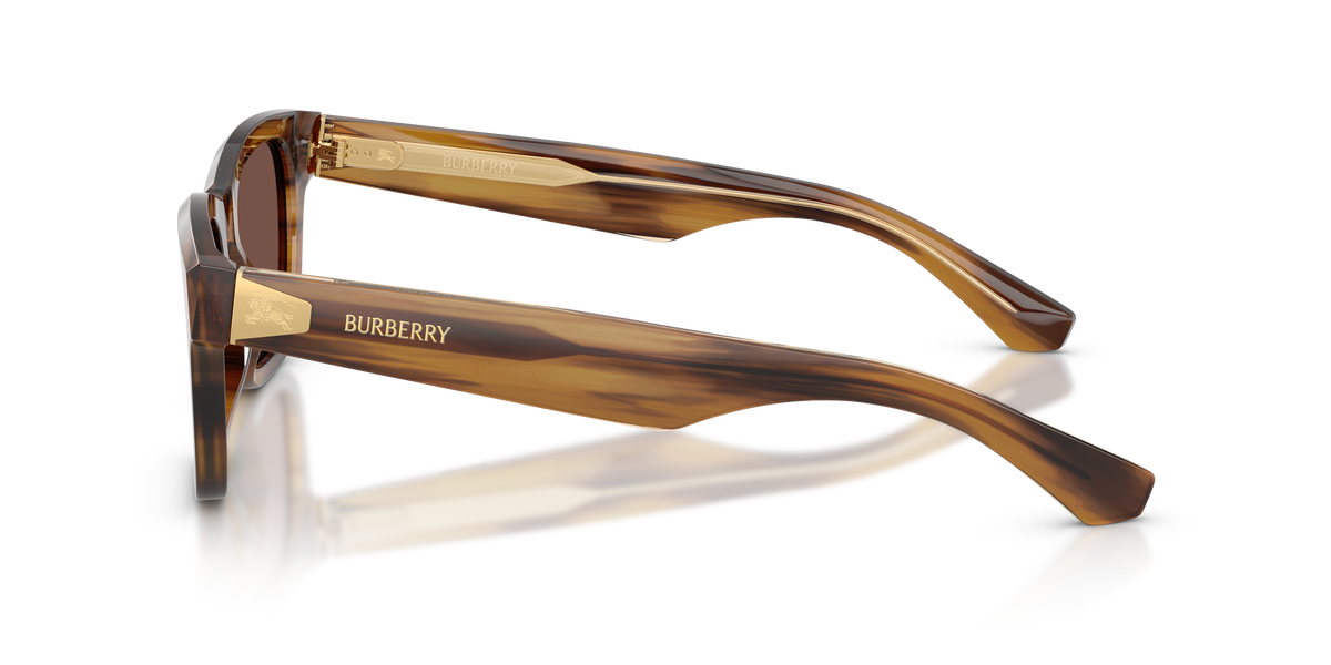 BE4504 - 425373 sunglasses - view 7
