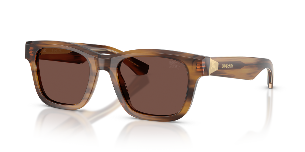 BE4504 - 425373 sunglasses - view 8