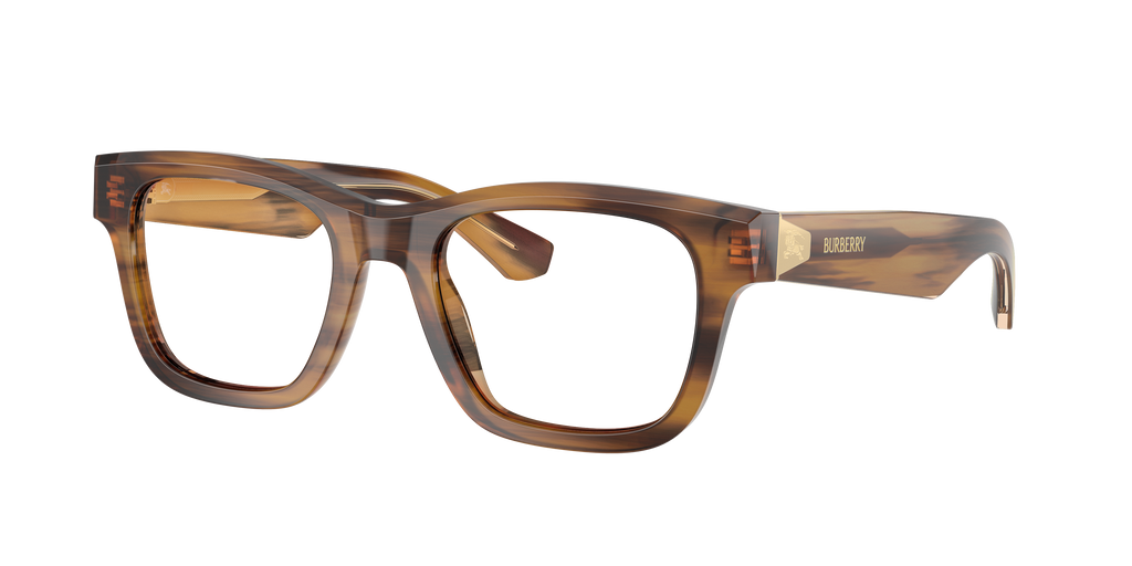 BE4504 - 425373 sunglasses - view 9