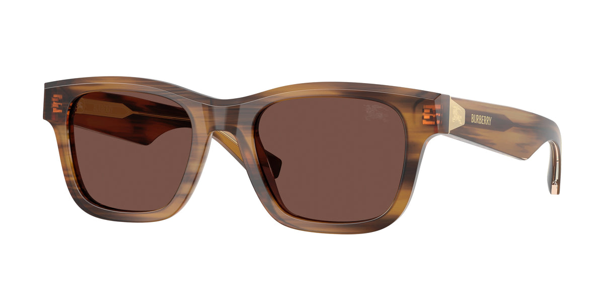 BE4504 - 425373 sunglasses - view 1