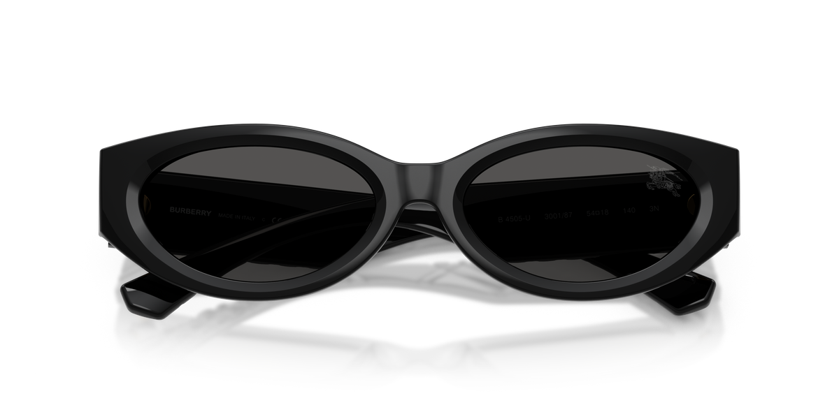 BE4505U - 300187 sunglasses - view 5