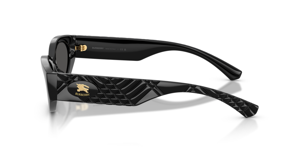 BE4505U - 300187 sunglasses - view 7