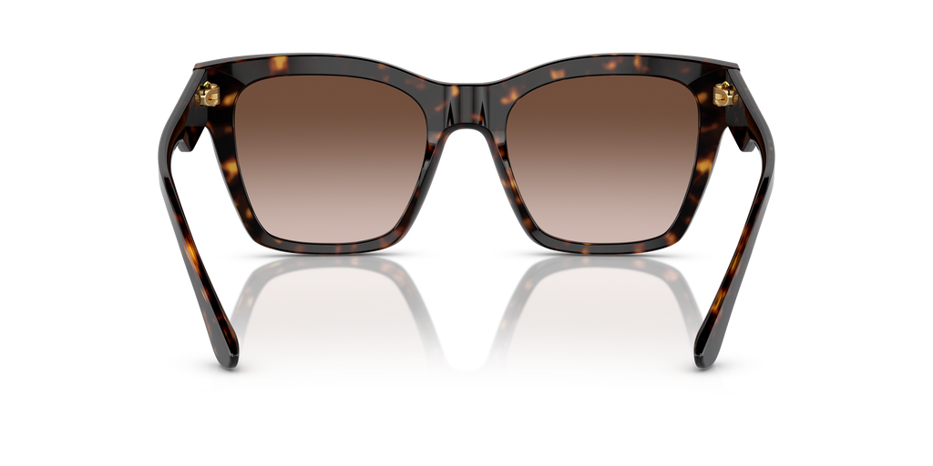 DG4384 - 50213 sunglasses - view 16