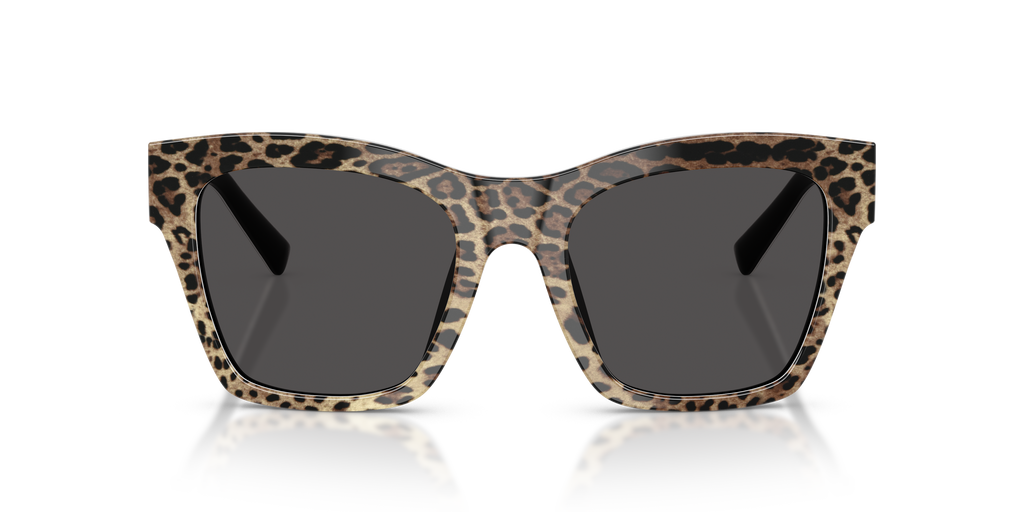 DG4512 - 316387 sunglasses - view 6