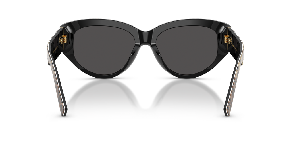 DG4514 - 316387 sunglasses - view 4