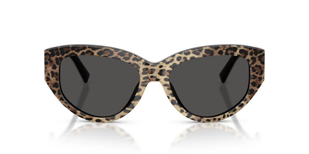 DG4514 - 316387 sunglasses - view 6