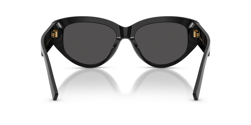 DG4514 - 50187 sunglasses - view 4