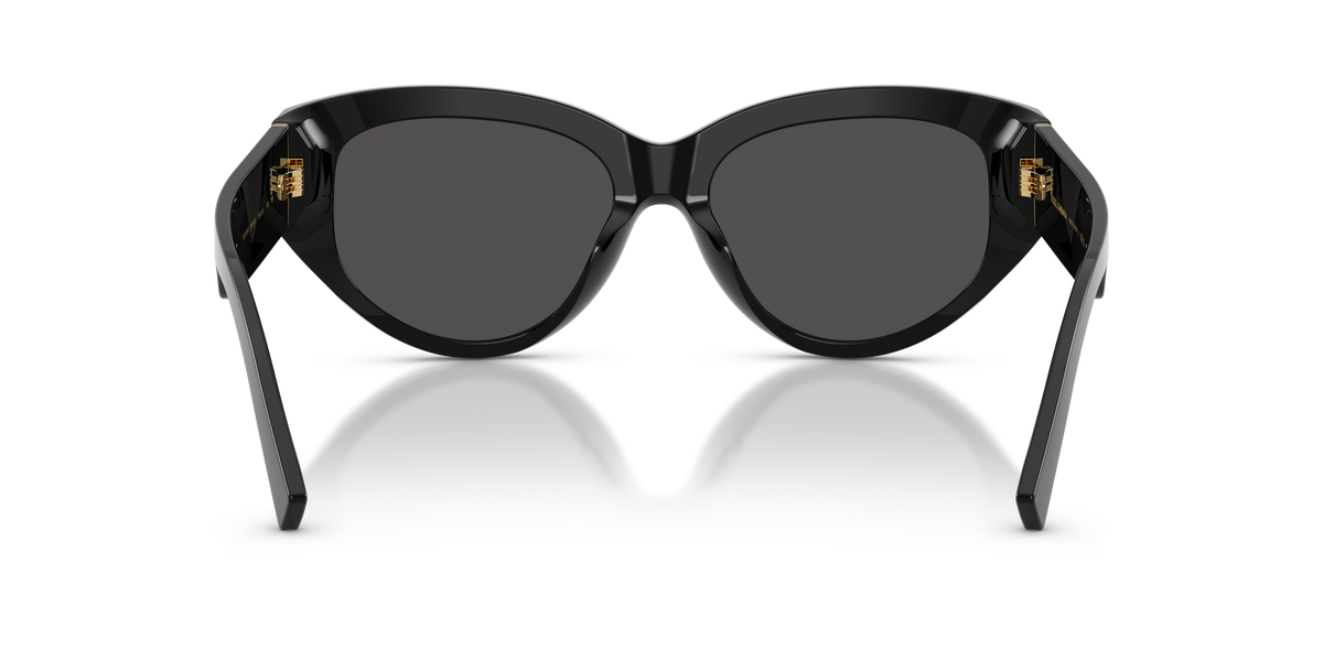 DG4514 - 50187 sunglasses - view 4