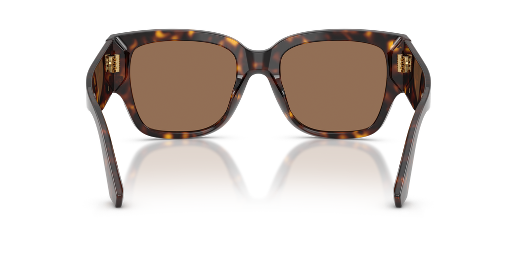 DG4563 - 50273 sunglasses - view 4