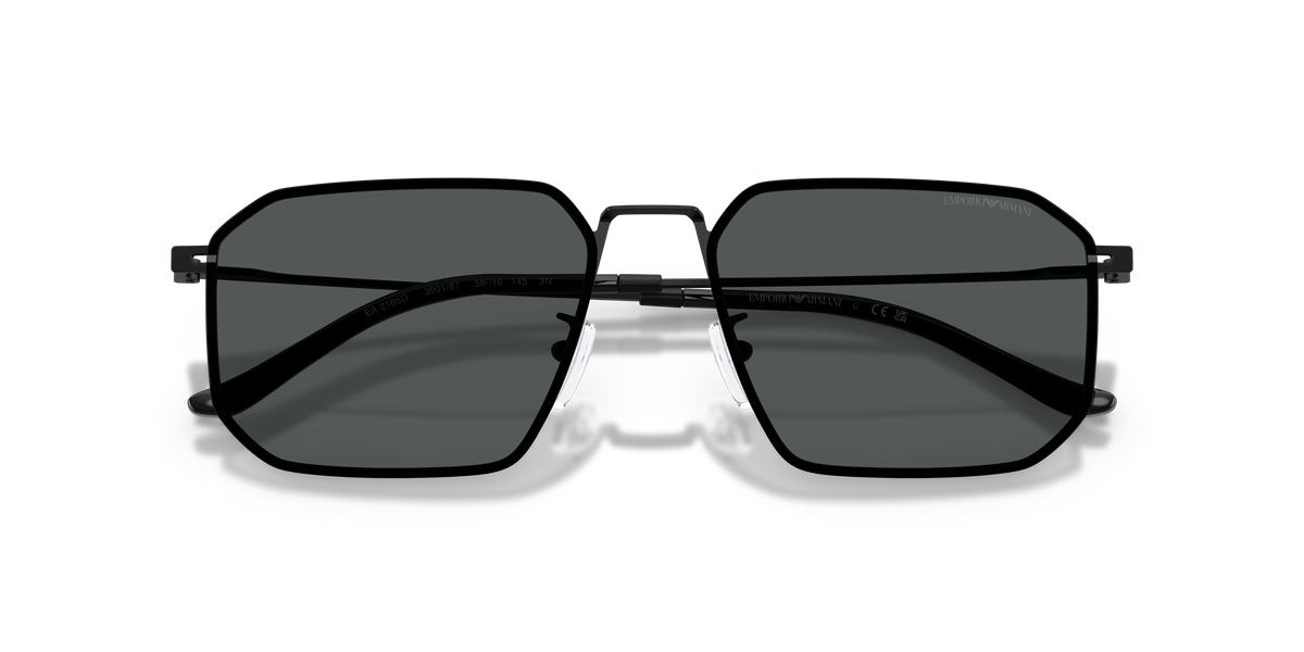EA2165D - 300187 sunglasses - view 5