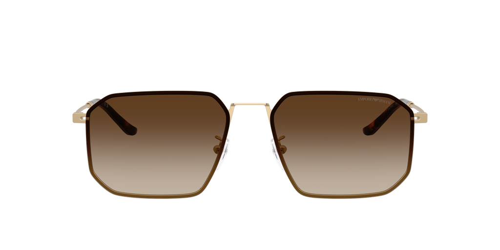 EA2165D - 300213 sunglasses - view 2