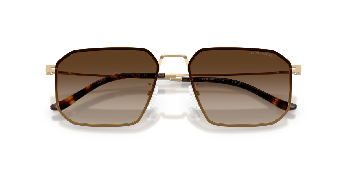 EA2165D - 300213 sunglasses - view 5