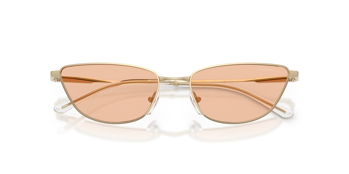 EA2174B - 301393 sunglasses - view 5