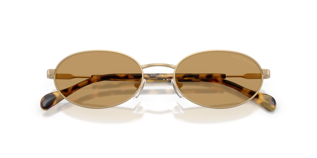 EA2175 - 300273 sunglasses - view 5