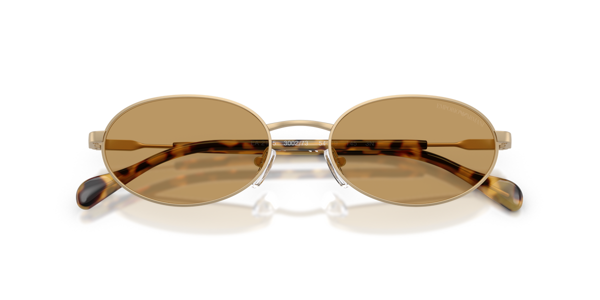 EA2175 - 300273 sunglasses - view 5