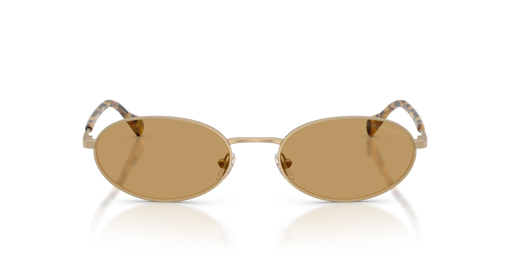 EA2175 - 300273 sunglasses - view 6