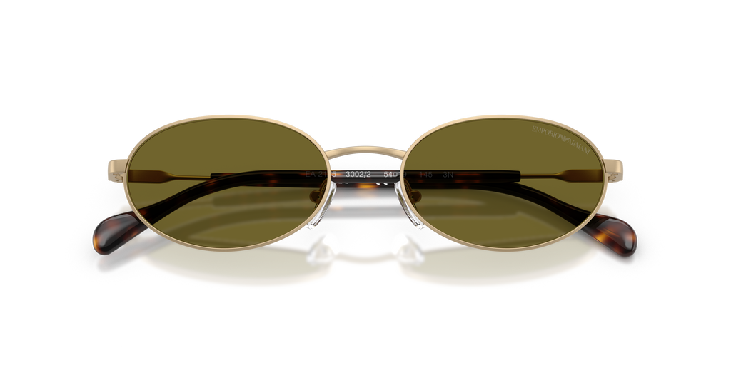 EA2175 - 30022 sunglasses - view 5