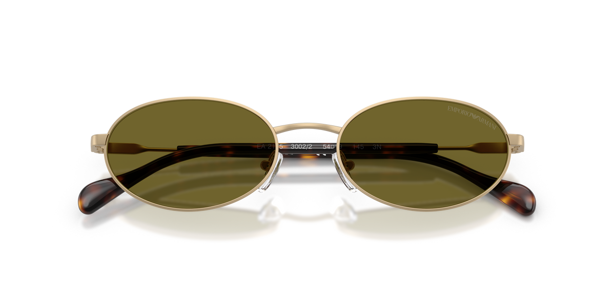 EA2175 - 30022 sunglasses - view 5