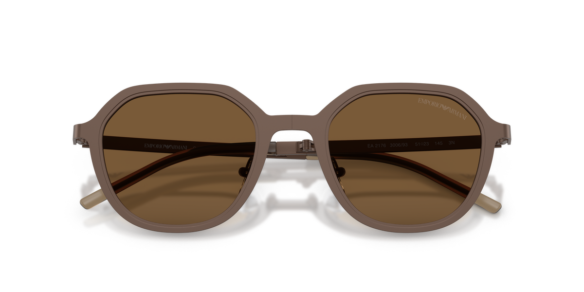 EA2176 - 300693 sunglasses - view 5