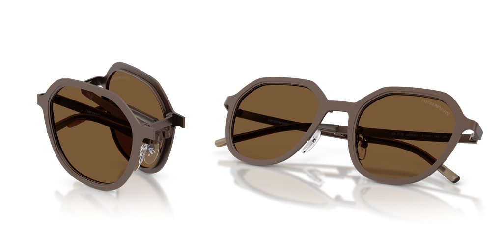 EA2176 - 300693 sunglasses - view 7