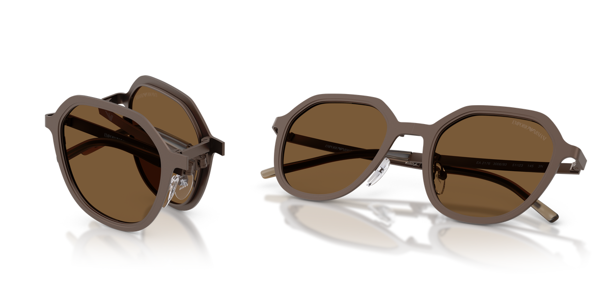 EA2176 - 300693 sunglasses - view 7
