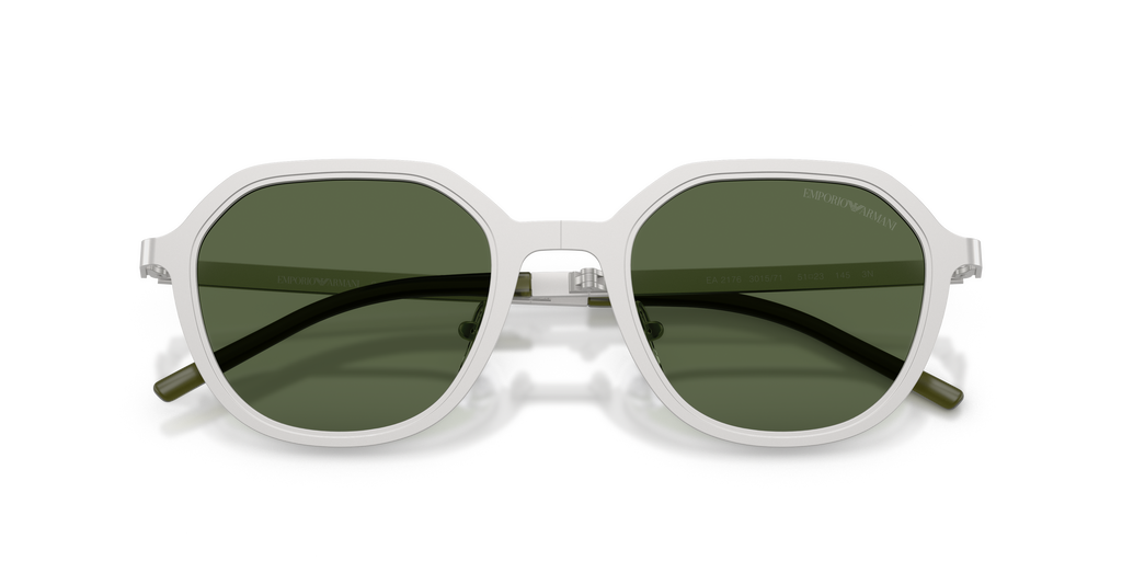 EA2176 - 301571 sunglasses - view 5