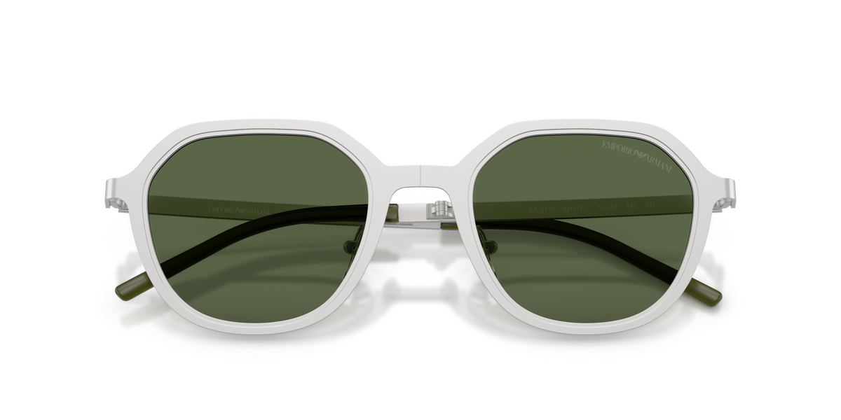 EA2176 - 301571 sunglasses - view 5