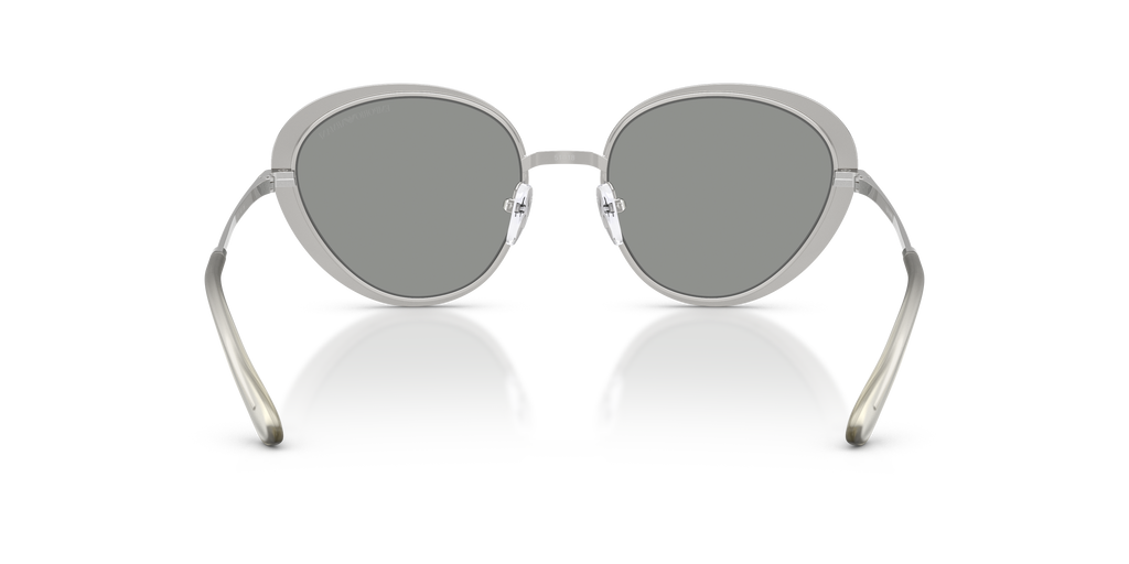 EA2177 - 30031 sunglasses - view 4
