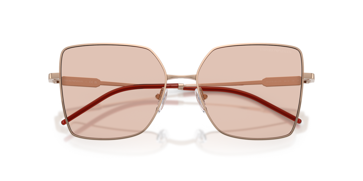 EA2179 - 301173 sunglasses - view 5