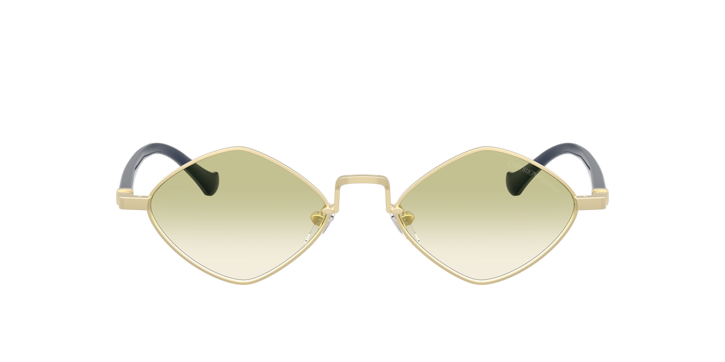 EA2182 - 30028E sunglasses - view 2