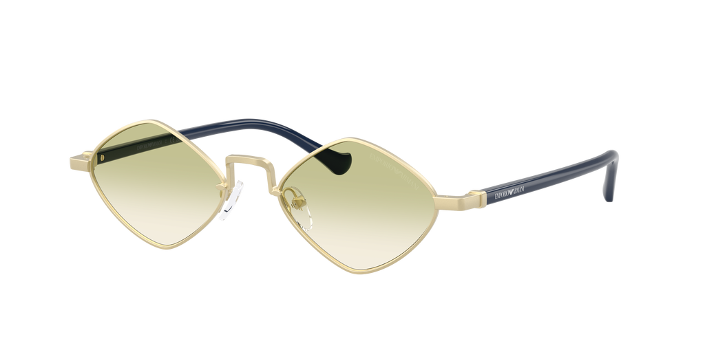EA2182 - 30028E sunglasses - view 3