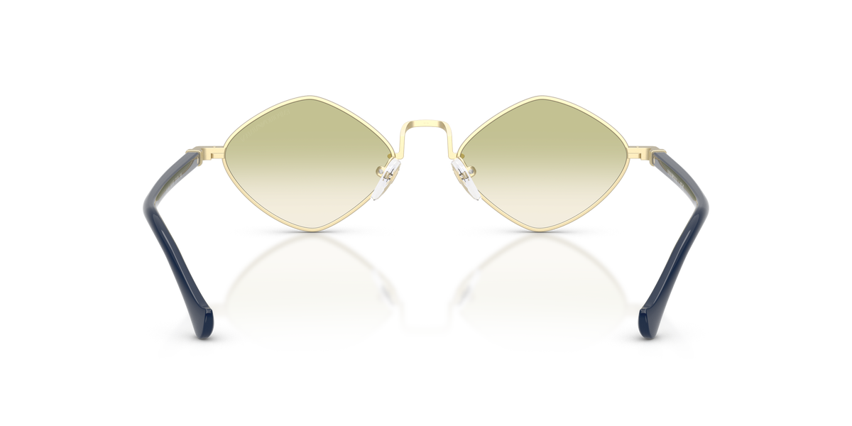 EA2182 - 30028E sunglasses - view 4