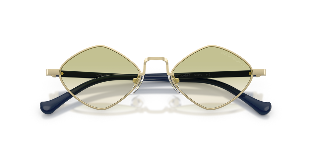 EA2182 - 30028E sunglasses - view 5