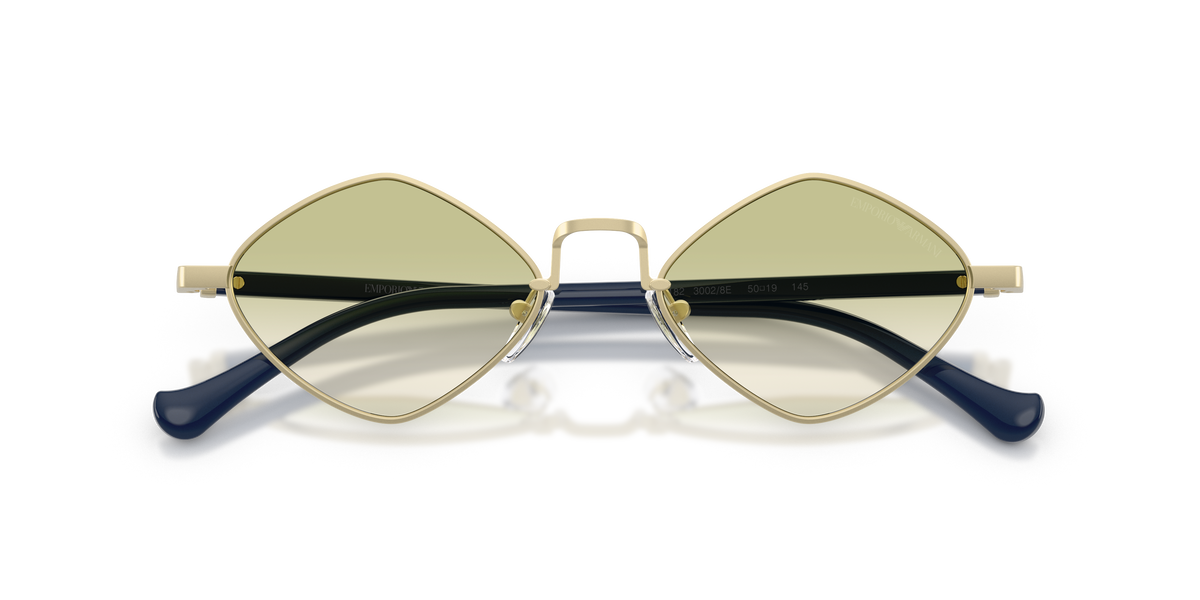 EA2182 - 30028E sunglasses - view 5