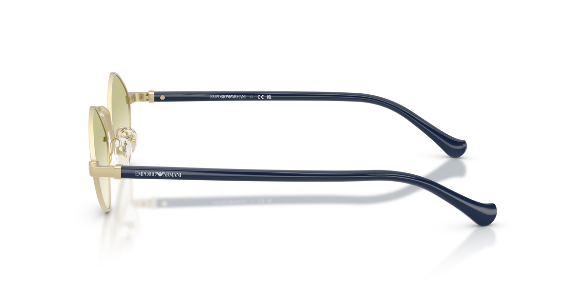 EA2182 - 30028E sunglasses - view 7