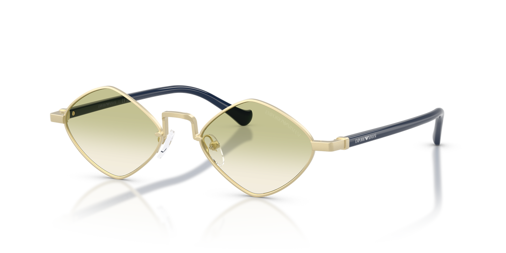 EA2182 - 30028E sunglasses - view 8