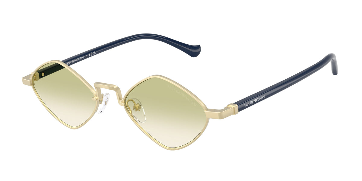 EA2182 - 30028E sunglasses - view 1