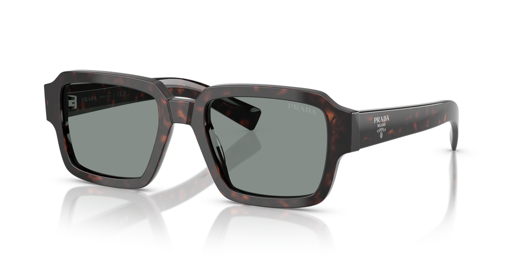 PR 02ZS - 17N20N sunglasses - view 8