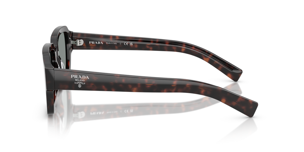 PR 02ZSF - 17N20N sunglasses - view 7