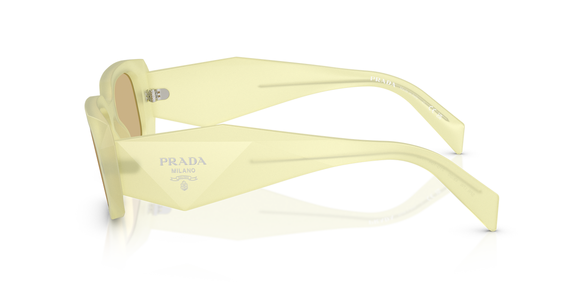 PR 17WS - 21G10R sunglasses - view 7