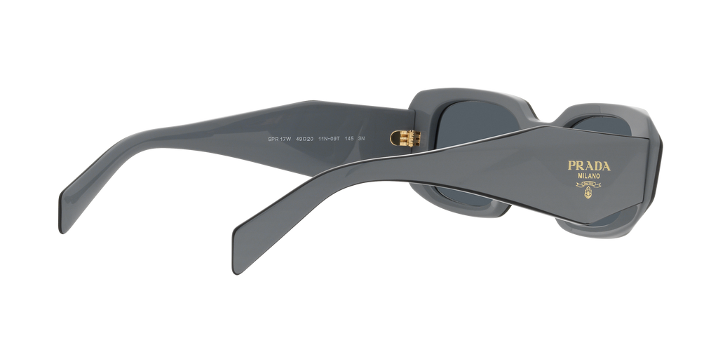 PR 17WSF - 11N09T sunglasses - view 10
