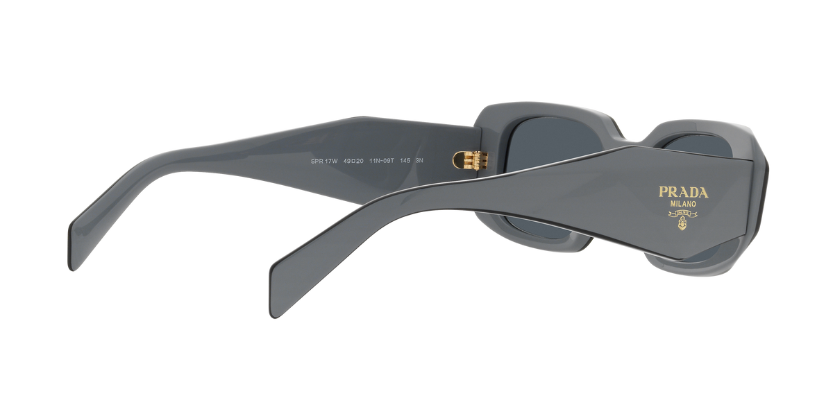 PR 17WSF - 11N09T sunglasses - view 10