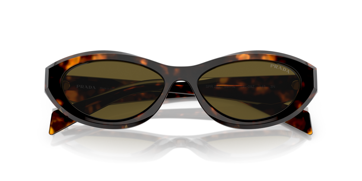 PR 26ZS - 14L09Z sunglasses - view 17